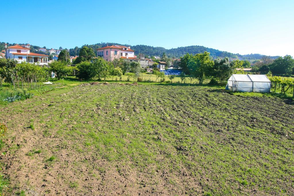Dias House Guest House Viana do Castelo Bagian luar foto